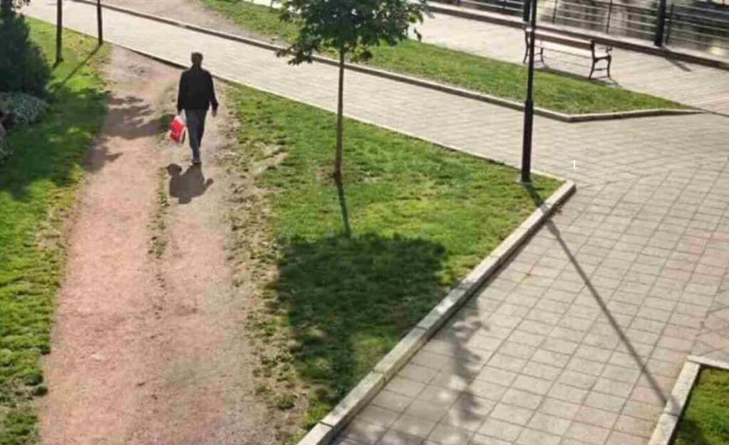 experiencia del usuario